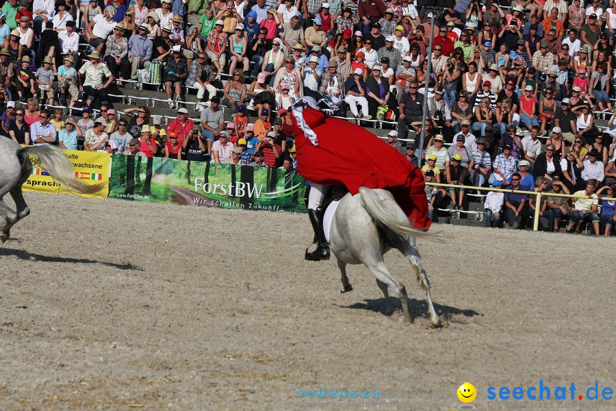 Hengstparade-Marbach-2011-011011-Bodensee-Community-SEECHAT_DE-IMG_1890.JPG