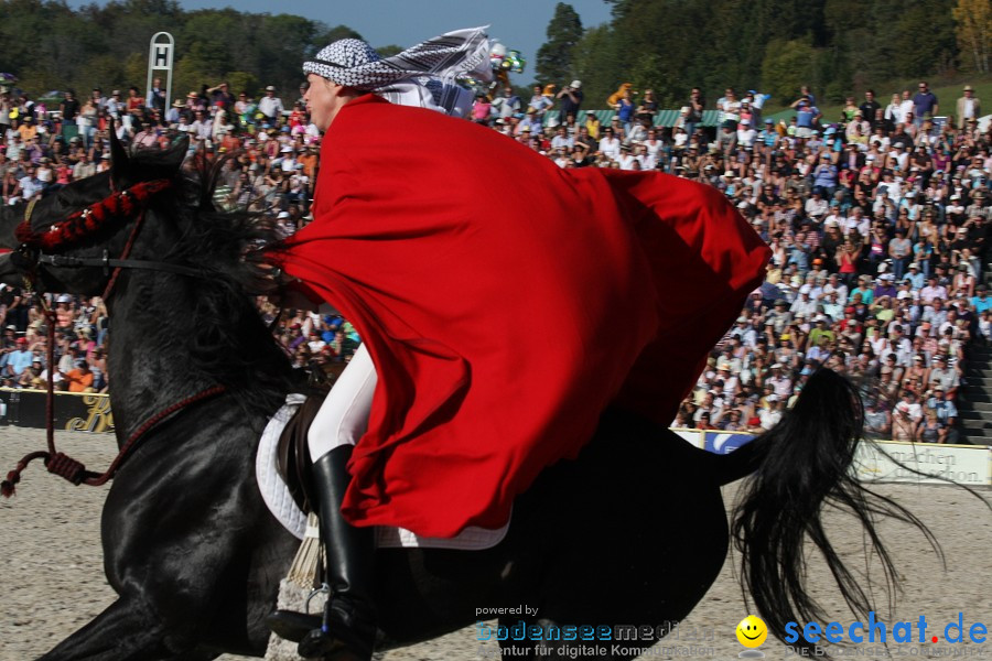 Hengstparade-Marbach-2011-011011-Bodensee-Community-SEECHAT_DE-IMG_1892.JPG