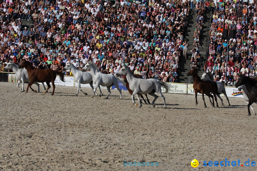 Hengstparade-Marbach-2011-011011-Bodensee-Community-SEECHAT_DE-IMG_1894.JPG