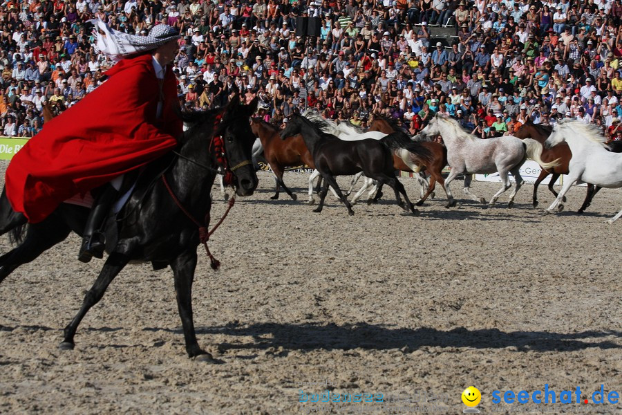 Hengstparade-Marbach-2011-011011-Bodensee-Community-SEECHAT_DE-IMG_1897.JPG