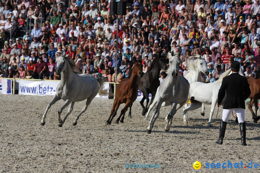 Hengstparade-Marbach-2011-011011-Bodensee-Community-SEECHAT_DE-IMG_1899.JPG