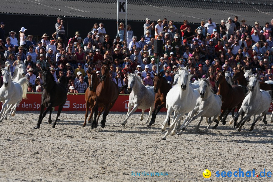 Hengstparade-Marbach-2011-011011-Bodensee-Community-SEECHAT_DE-IMG_1901.JPG