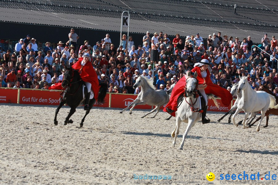 Hengstparade-Marbach-2011-011011-Bodensee-Community-SEECHAT_DE-IMG_1907.JPG