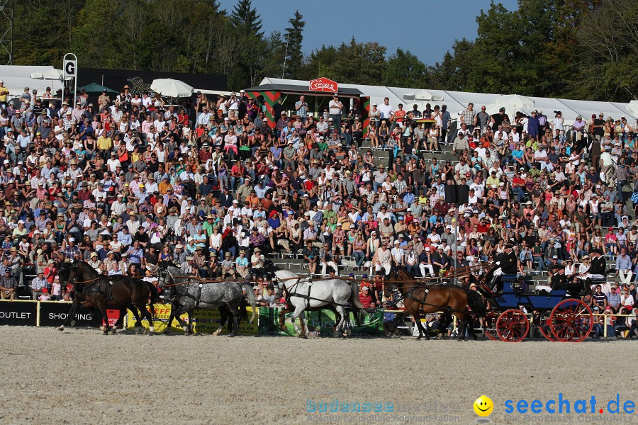 Hengstparade-Marbach-2011-011011-Bodensee-Community-SEECHAT_DE-IMG_1945.JPG