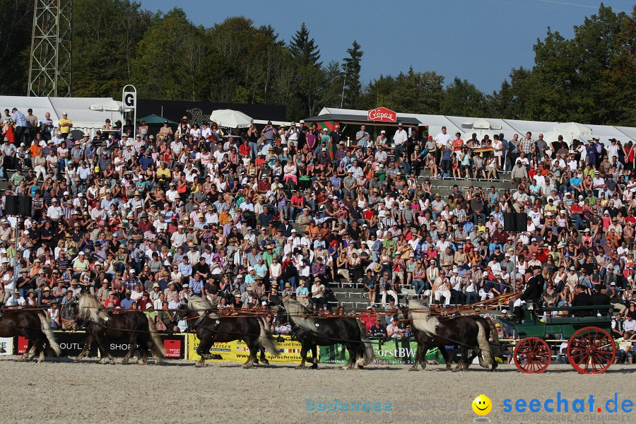 Hengstparade-Marbach-2011-011011-Bodensee-Community-SEECHAT_DE-IMG_1946.JPG