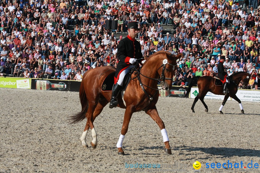 Hengstparade-Marbach-2011-011011-Bodensee-Community-SEECHAT_DE-IMG_1996.JPG