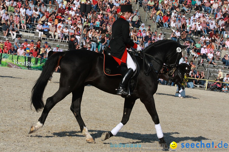 Hengstparade-Marbach-2011-011011-Bodensee-Community-SEECHAT_DE-IMG_2000.JPG