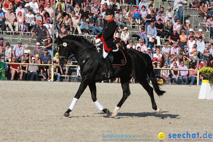 Hengstparade-Marbach-2011-011011-Bodensee-Community-SEECHAT_DE-IMG_2013.JPG