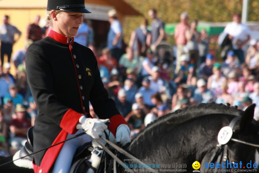 Hengstparade-Marbach-2011-011011-Bodensee-Community-SEECHAT_DE-IMG_2029.JPG