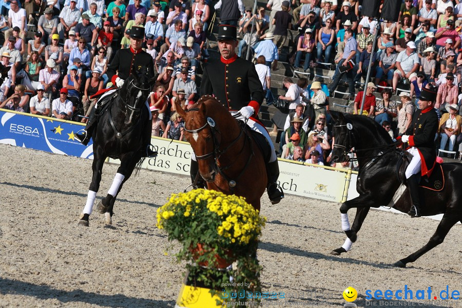 Hengstparade-Marbach-2011-011011-Bodensee-Community-SEECHAT_DE-IMG_2043.JPG