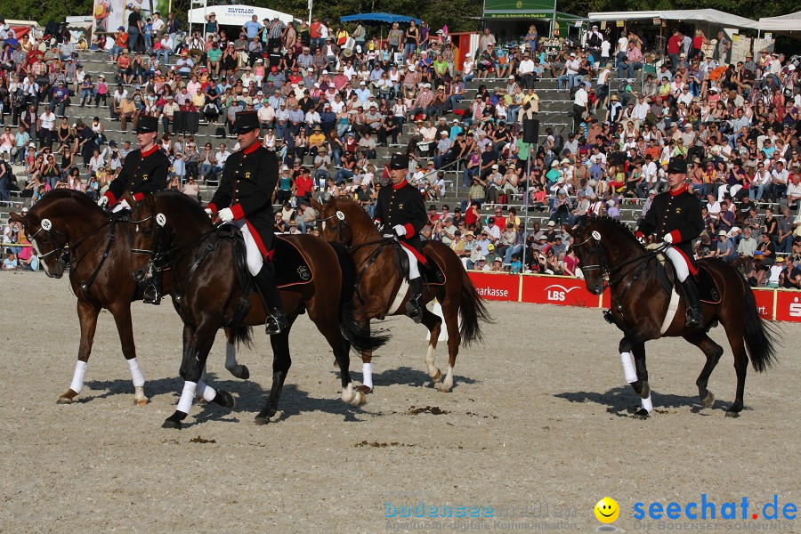 Hengstparade-Marbach-2011-011011-Bodensee-Community-SEECHAT_DE-IMG_2098.JPG