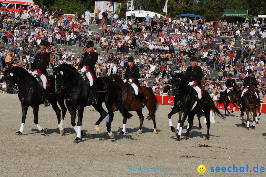 Hengstparade-Marbach-2011-011011-Bodensee-Community-SEECHAT_DE-IMG_2108.JPG