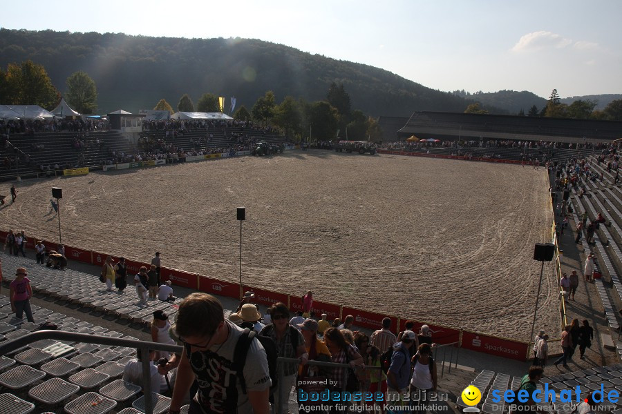 Hengstparade-Marbach-2011-011011-Bodensee-Community-SEECHAT_DE-IMG_2123.JPG