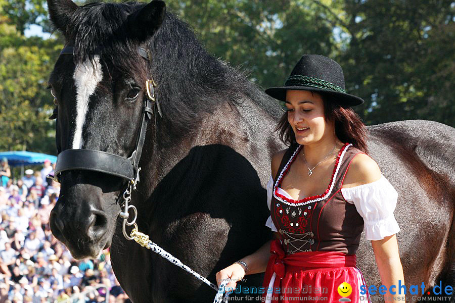 X2-Hengstparade-Marbach-2011-011011-Bodensee-Community-SEECHAT_DE-IMG_0592.JPG