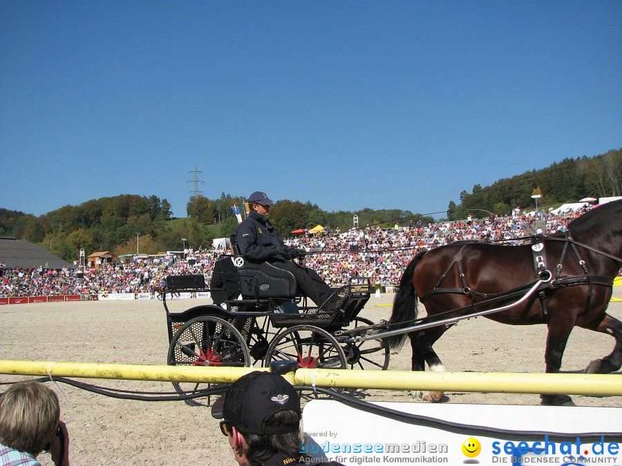 Hengstparade-Marbach-2011-03011-Bodensee-Community-SEECHAT_DE-_109.JPG