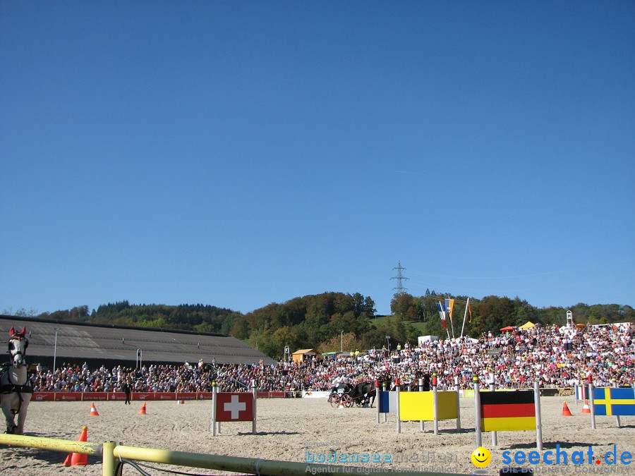 Hengstparade-Marbach-2011-03011-Bodensee-Community-SEECHAT_DE-_125.JPG