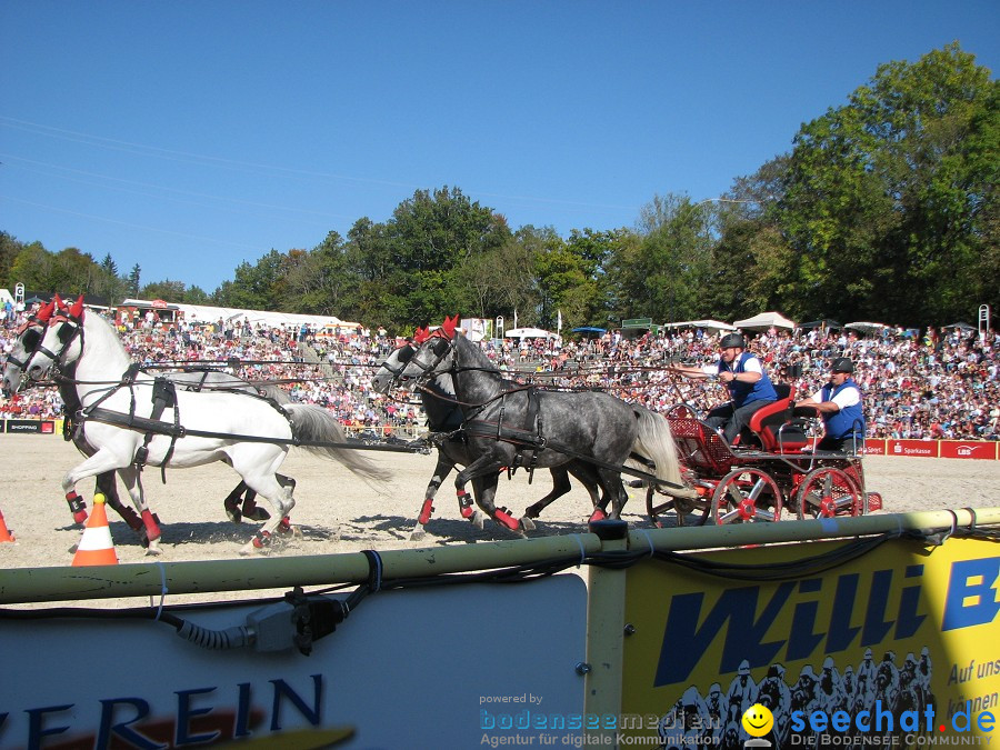 Hengstparade-Marbach-2011-03011-Bodensee-Community-SEECHAT_DE-_127.JPG