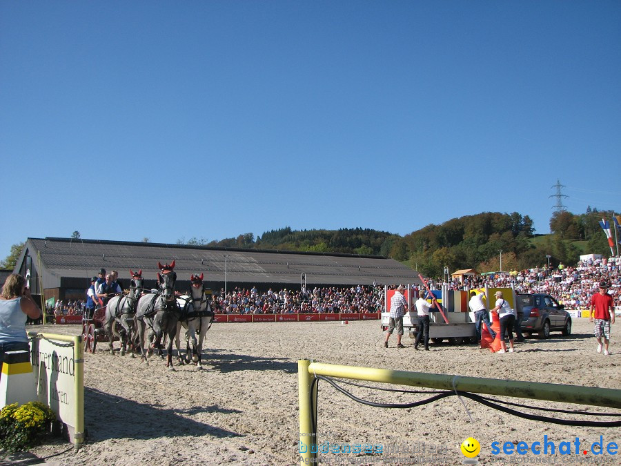 Hengstparade-Marbach-2011-03011-Bodensee-Community-SEECHAT_DE-_13.JPG