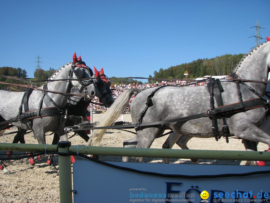 Hengstparade-Marbach-2011-03011-Bodensee-Community-SEECHAT_DE-_130.JPG