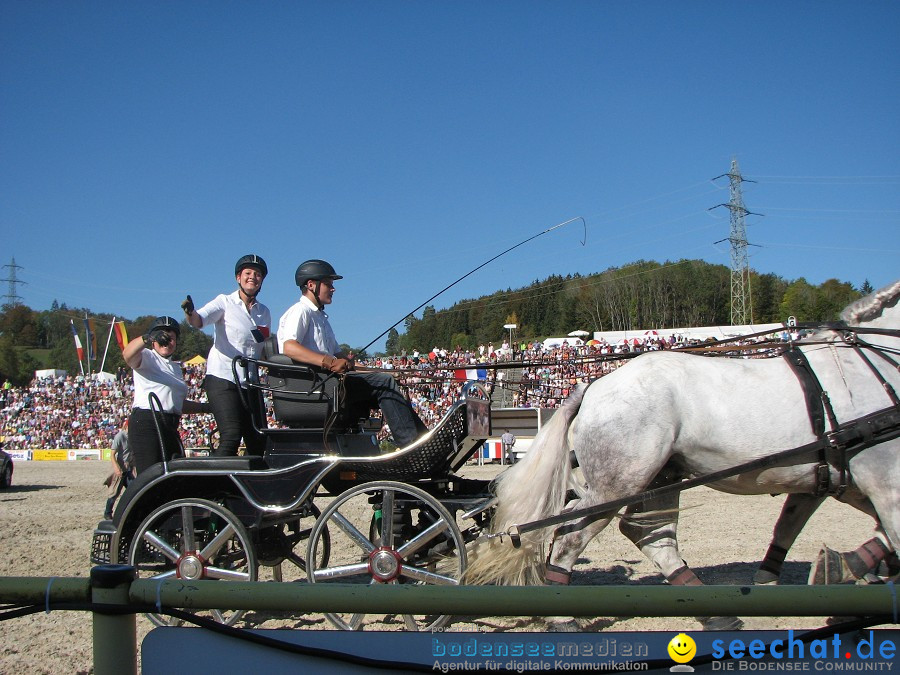 Hengstparade-Marbach-2011-03011-Bodensee-Community-SEECHAT_DE-_131.JPG