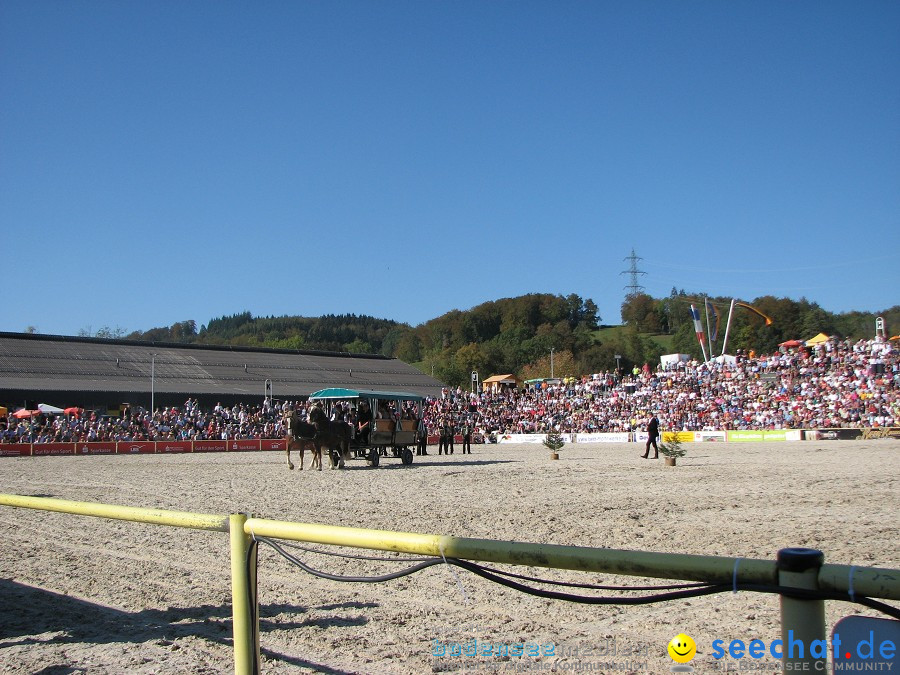 Hengstparade-Marbach-2011-03011-Bodensee-Community-SEECHAT_DE-_136.JPG