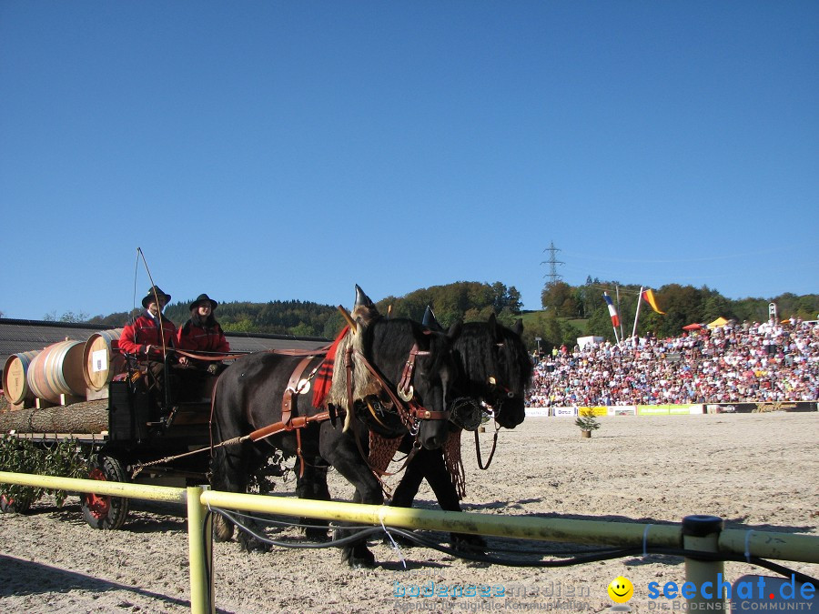 Hengstparade-Marbach-2011-03011-Bodensee-Community-SEECHAT_DE-_138.JPG