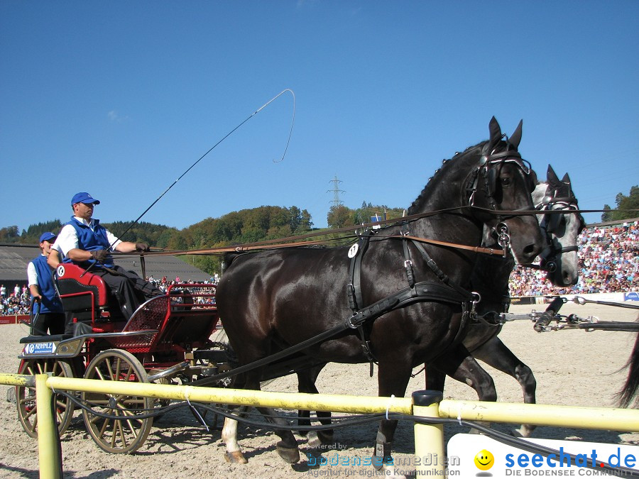 Hengstparade-Marbach-2011-03011-Bodensee-Community-SEECHAT_DE-_28.JPG