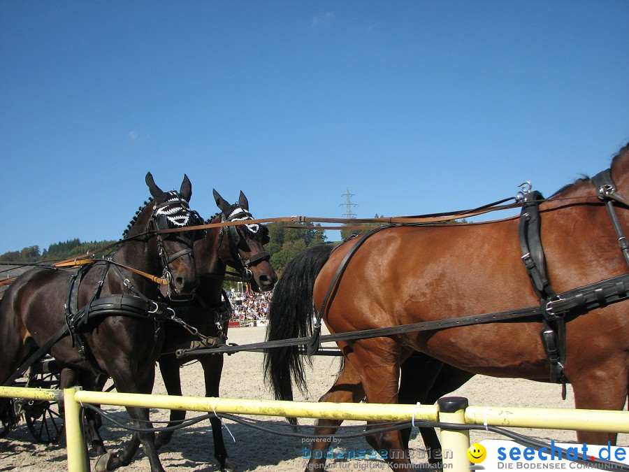 Hengstparade-Marbach-2011-03011-Bodensee-Community-SEECHAT_DE-_30.JPG