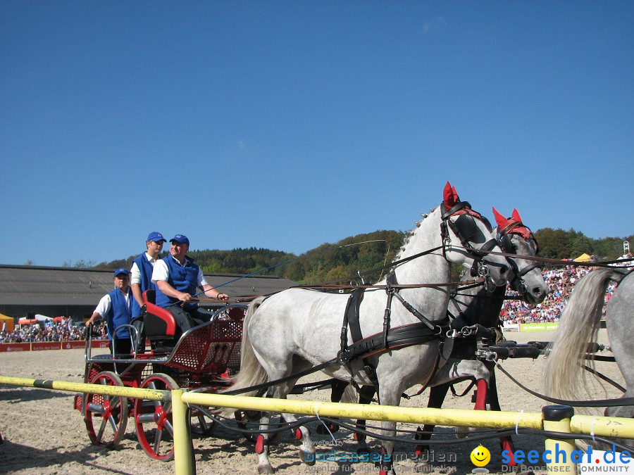 Hengstparade-Marbach-2011-03011-Bodensee-Community-SEECHAT_DE-_31.JPG