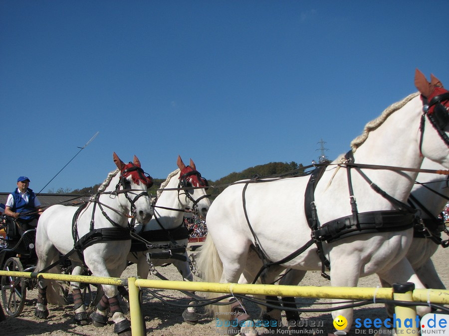 Hengstparade-Marbach-2011-03011-Bodensee-Community-SEECHAT_DE-_32.JPG