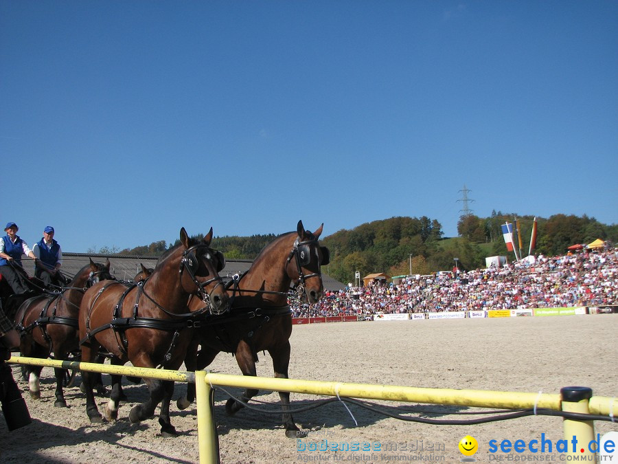 Hengstparade-Marbach-2011-03011-Bodensee-Community-SEECHAT_DE-_33.JPG