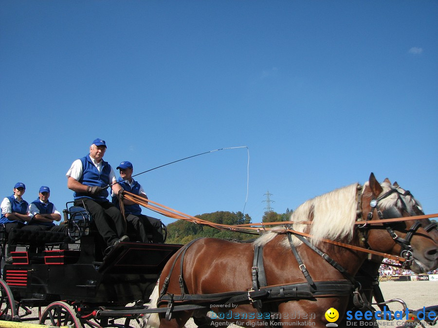 Hengstparade-Marbach-2011-03011-Bodensee-Community-SEECHAT_DE-_34.JPG