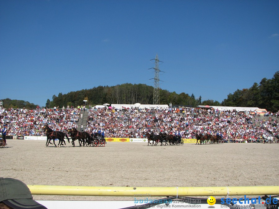 Hengstparade-Marbach-2011-03011-Bodensee-Community-SEECHAT_DE-_35.JPG