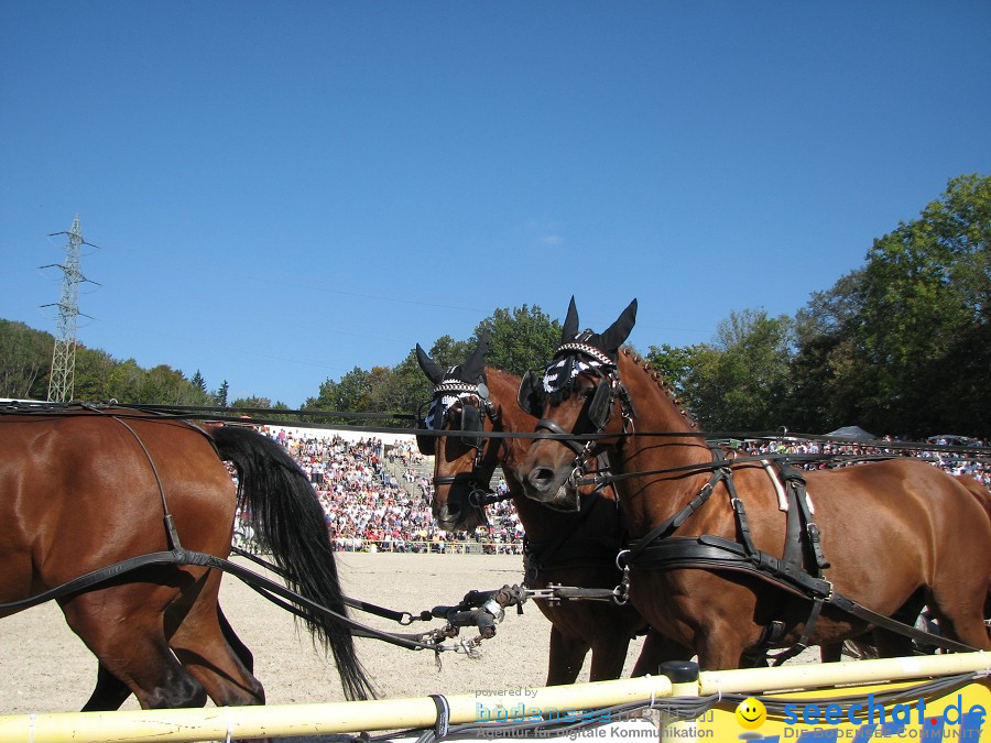 Hengstparade-Marbach-2011-03011-Bodensee-Community-SEECHAT_DE-_36.JPG