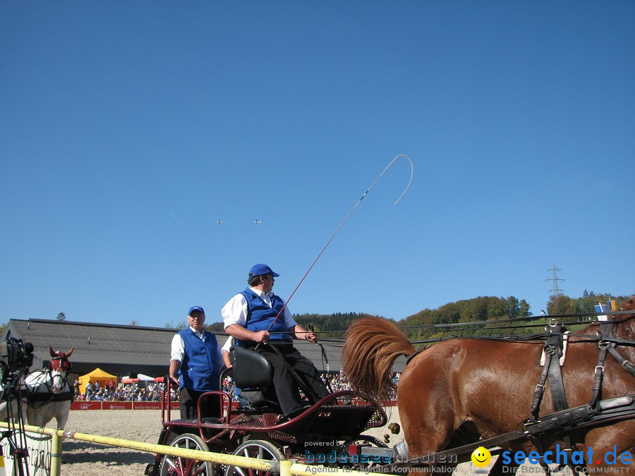 Hengstparade-Marbach-2011-03011-Bodensee-Community-SEECHAT_DE-_38.JPG