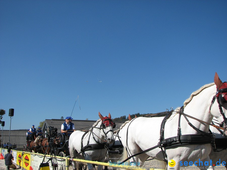 Hengstparade-Marbach-2011-03011-Bodensee-Community-SEECHAT_DE-_39.JPG