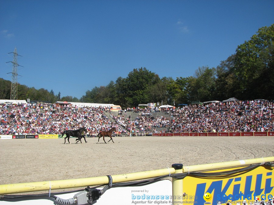 Hengstparade-Marbach-2011-03011-Bodensee-Community-SEECHAT_DE-_40.JPG