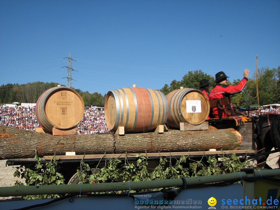 Hengstparade-Marbach-2011-03011-Bodensee-Community-SEECHAT_DE-_42.JPG