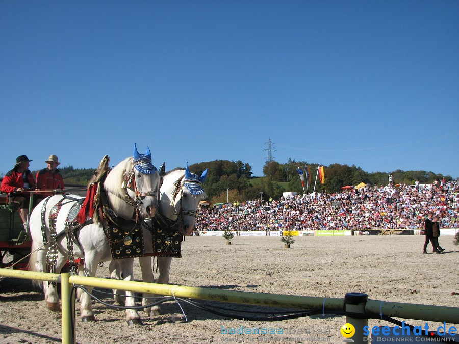 Hengstparade-Marbach-2011-03011-Bodensee-Community-SEECHAT_DE-_43.JPG