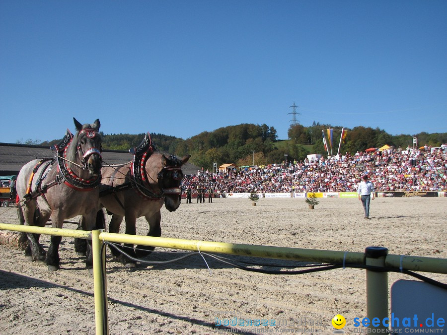 Hengstparade-Marbach-2011-03011-Bodensee-Community-SEECHAT_DE-_49.JPG