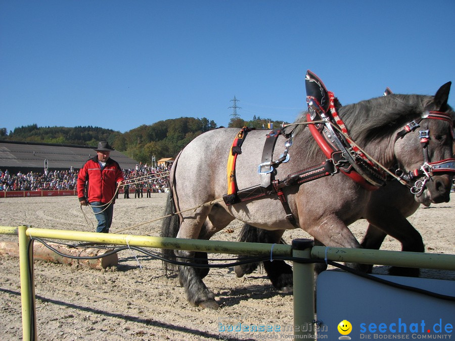 Hengstparade-Marbach-2011-03011-Bodensee-Community-SEECHAT_DE-_50.JPG