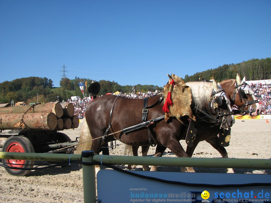 Hengstparade-Marbach-2011-03011-Bodensee-Community-SEECHAT_DE-_51.JPG