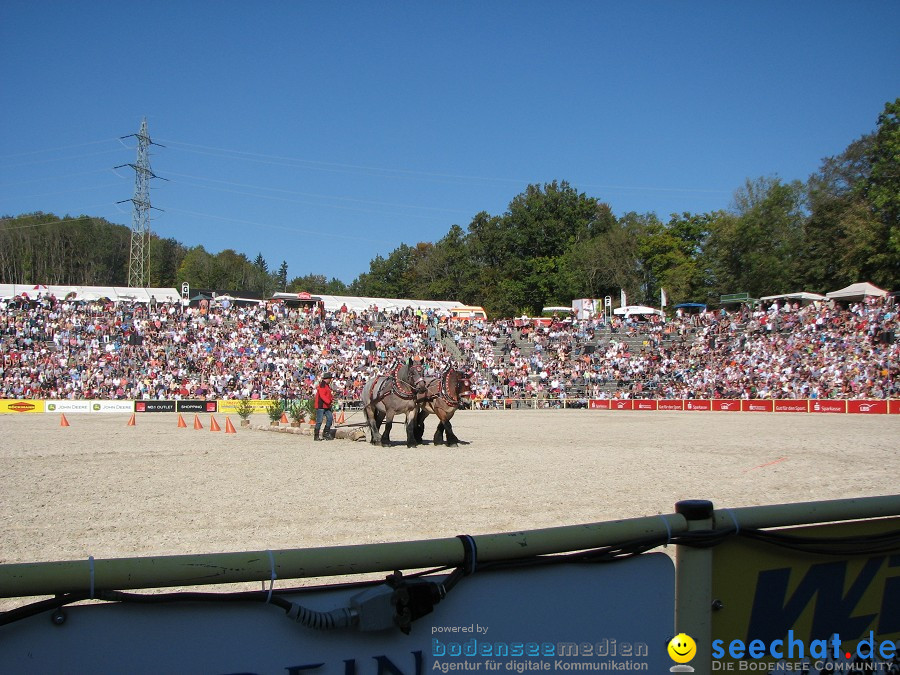 Hengstparade-Marbach-2011-03011-Bodensee-Community-SEECHAT_DE-_52.JPG