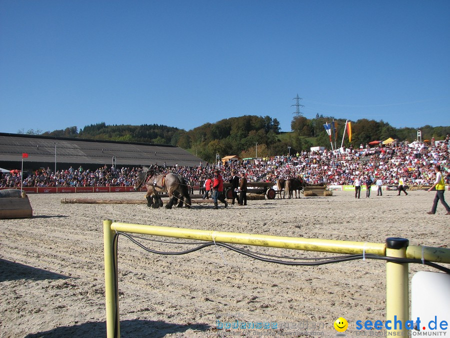 Hengstparade-Marbach-2011-03011-Bodensee-Community-SEECHAT_DE-_56.JPG