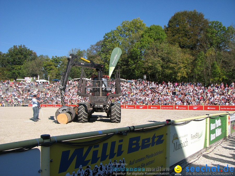 Hengstparade-Marbach-2011-03011-Bodensee-Community-SEECHAT_DE-_59.JPG