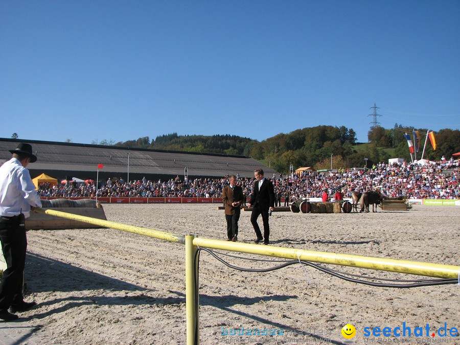 Hengstparade-Marbach-2011-03011-Bodensee-Community-SEECHAT_DE-_60.JPG