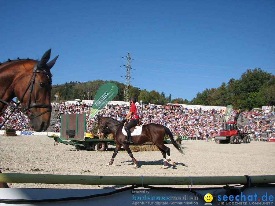 Hengstparade-Marbach-2011-03011-Bodensee-Community-SEECHAT_DE-_64.JPG