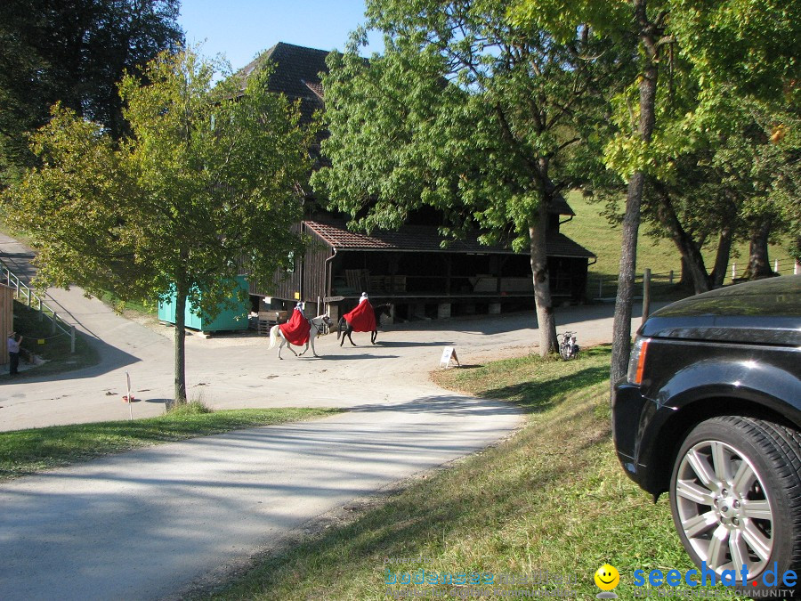 Hengstparade-Marbach-2011-03011-Bodensee-Community-SEECHAT_DE-_74.JPG