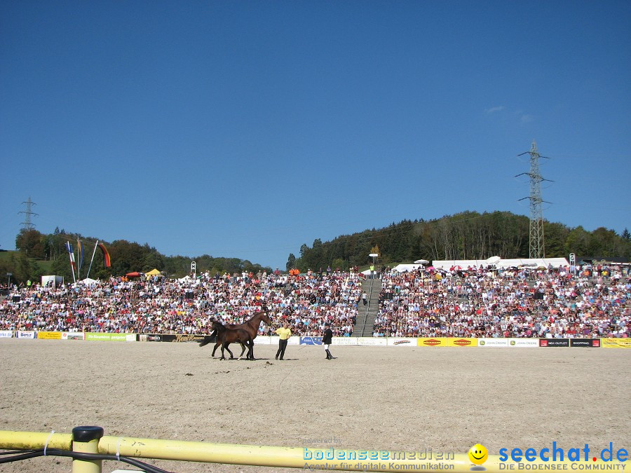 Hengstparade-Marbach-2011-03011-Bodensee-Community-SEECHAT_DE-_75.JPG