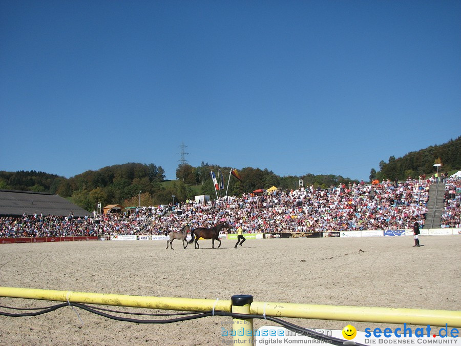 Hengstparade-Marbach-2011-03011-Bodensee-Community-SEECHAT_DE-_76.JPG